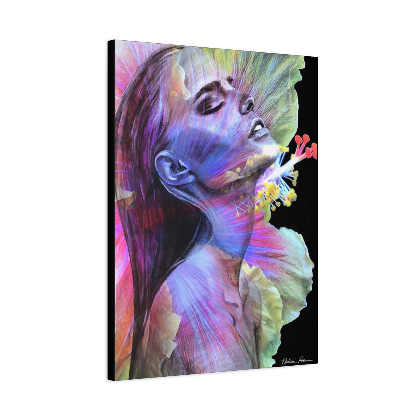 Hibiscus Canvas Print