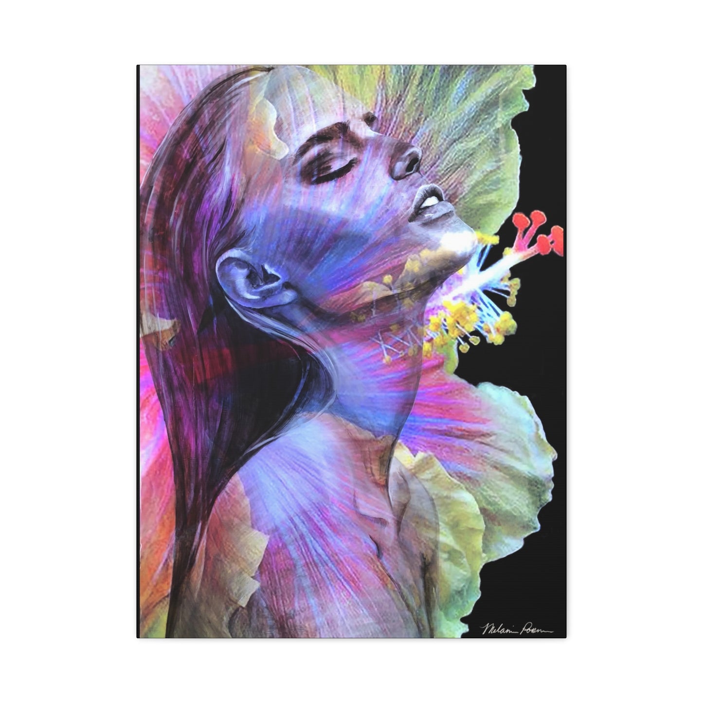 Hibiscus Canvas Print