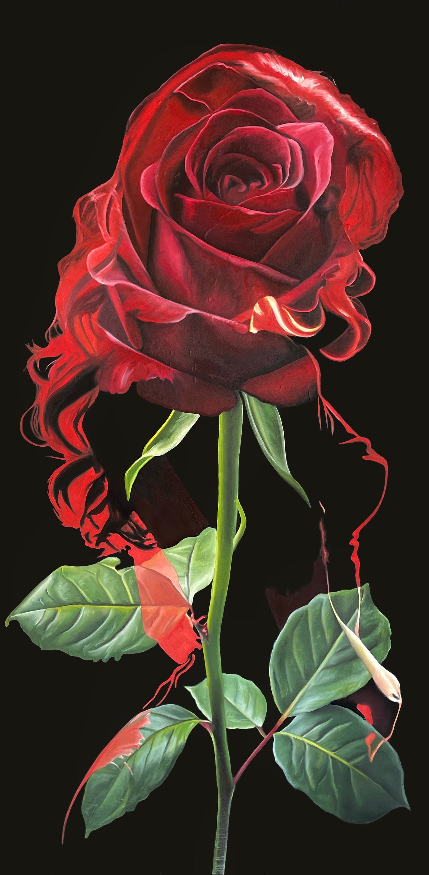 Rose Lady